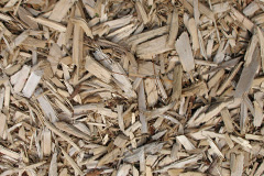 biomass boilers Clipstone
